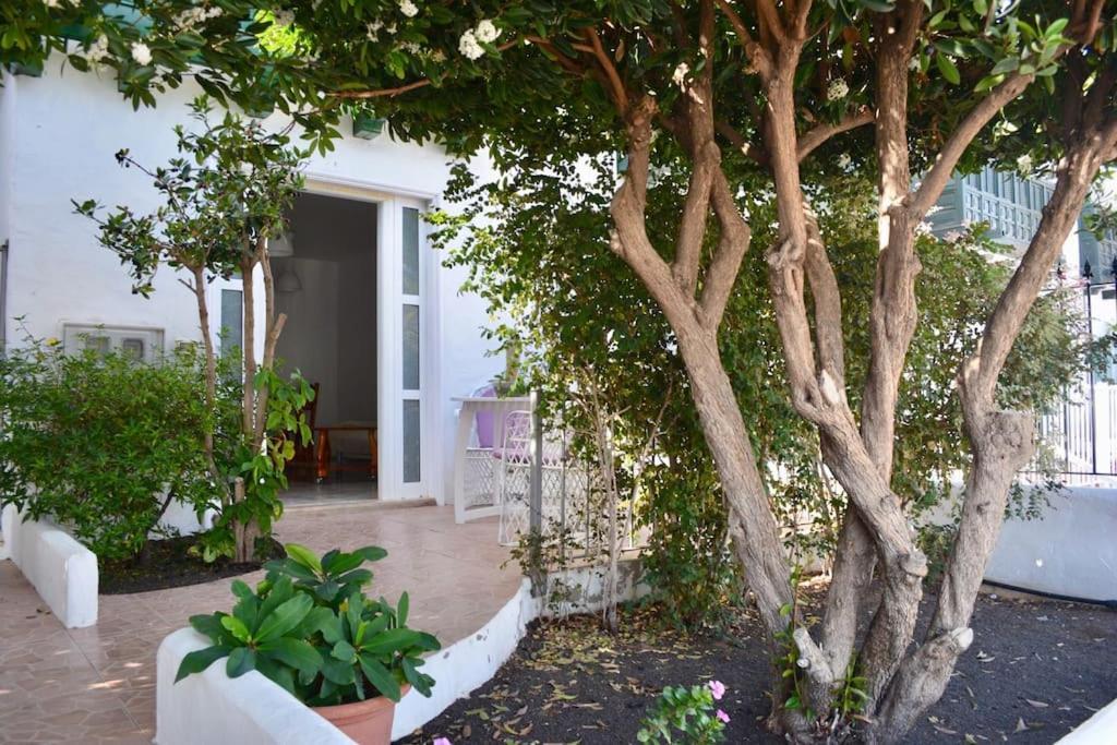 Playa Chica Apt With Terrace 100 M From The Sea Puerto del Carmen  Zewnętrze zdjęcie